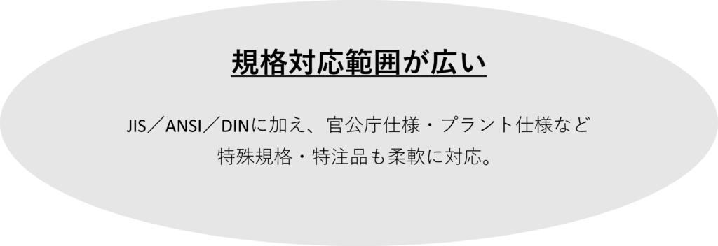 規格対応範囲が広い

JIS／ANSI／DINに加え、官公庁仕様・プラント仕様など
特殊規格・特注品も柔軟に対応。

